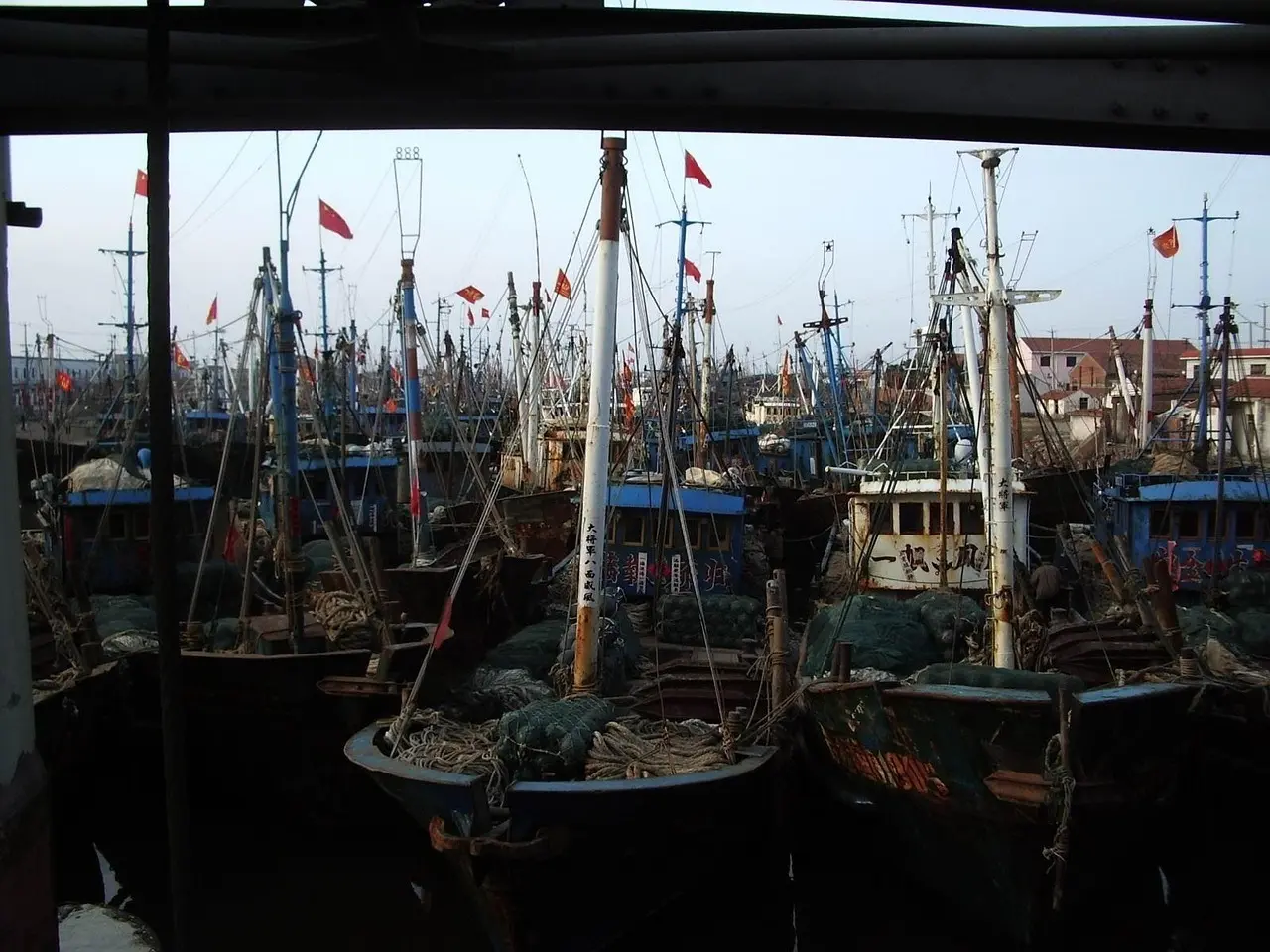 Hvem skal have fisketegn? Sådan finder du hurtigt ud af, om det gælder dig