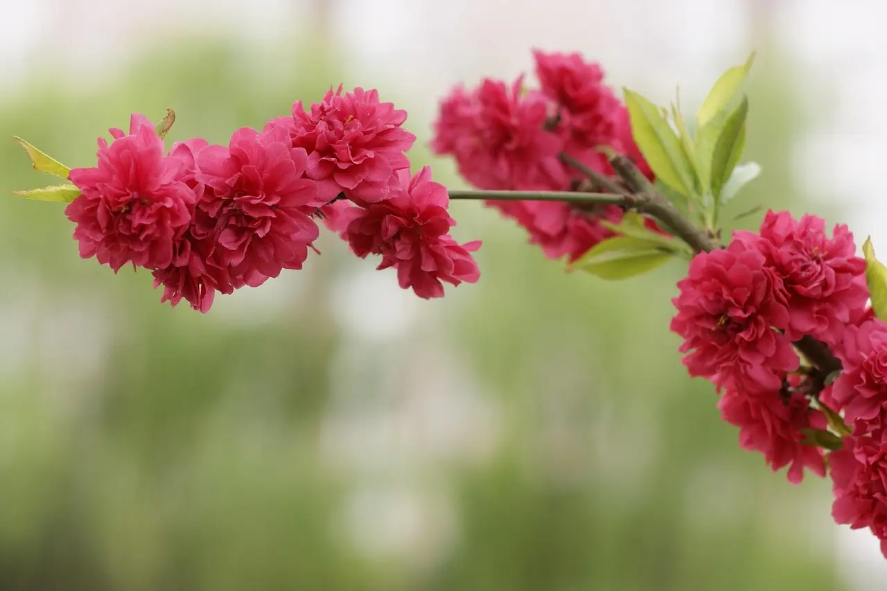 Hvem står bag telefonnummer 32226573?