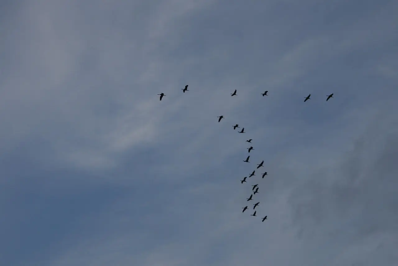 Hvilken by ligger Djurs Sommerland i? Find svaret – planlæg din perfekte forlystelsesdag