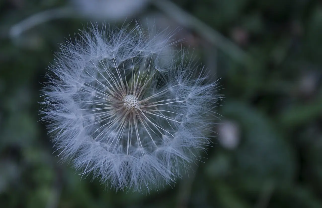 Hvordan behandler man hælspore? Effektive behandlinger, målrettede øvelser og forebyggende råd